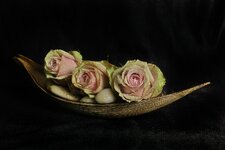 ftf_rosenschiffchen_DP3M0601.jpg