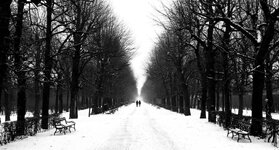 Schönbrunn_sw_1 Kopie-001.jpg