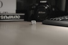 GX1s 3200bw.jpg