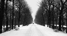 comp_Schönbrunn_sw_2.jpg