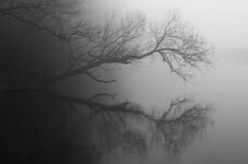 0120140306-IMG_0533wepp.jpg