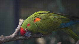 20140302-0037-0001s.jpg