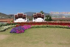 IMG_0505.JPG