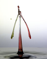 IMK58811_lzn.jpg
