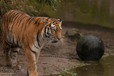 IMG_5921.jpg