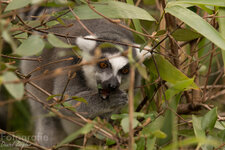 IMG_6345.jpg