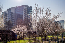 20140313-KPL50123.jpg