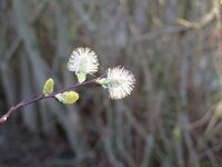 kIMG_0120.jpg