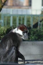 IMG_0903k.JPG
