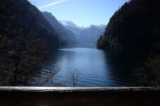 DSC_1306_1.jpg