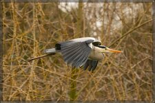 IMG_8989.jpg