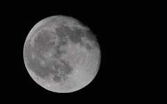 DSC_4331.JPG