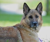 DSC_5584.JPG