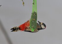 DSC_6444.JPG