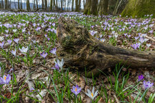 20140228 Fotospaziergang Weitersfeld IMG_6666-4W.jpg