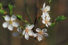 compIMG_3353.jpg