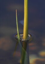 compIMG_3359.jpg