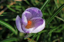 compIMG_3356.jpg