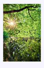 Hainich_GrueneTeichHoelle.jpg Hainich_GrueneTeichHoelle.jpg