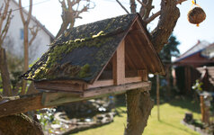 Garten-7693.jpg