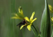 compIMG_3342.jpg