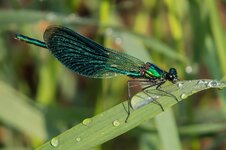 3.Q. 2013    022.jpg