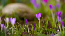IMG_3787.jpg