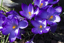 DSLR_KHA_8629.JPG