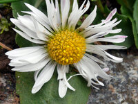 Test 903a.jpg