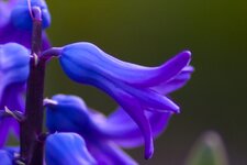 IMG_4370 (1).jpg