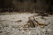 DSC07923-Bearbeitet.jpg