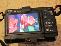 IMG_2817.JPG