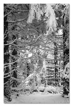 2013-10-Thueringen-Schneekopf-I.jpg 2013-10-Thueringen-Schneekopf-I.jpg