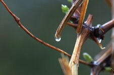 Tokina90f4-Bild1.jpg