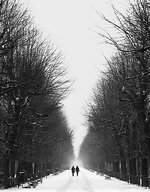 comp_Schönbrunn_sw_2_crop.jpg