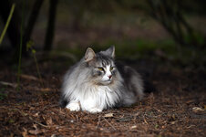 DSC_0139.jpg
