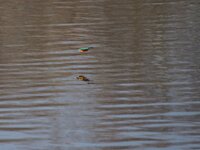 20140312-P3122046.jpg