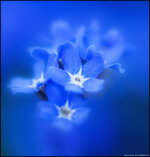 blau+.jpg