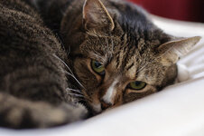 21. März 2014 - rawjpgtest - 00063.jpg