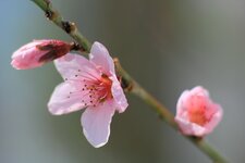 compIMG_3516.jpg