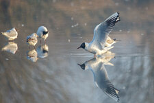 IMG_3965_2.jpg