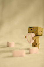 Danbo_06.jpg