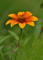 DSC_6116.JPG