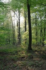 IMGP4135_xs.jpg
