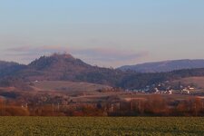 2013 04 07_0795bearb..jpg