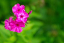 20110904-IMGP1622.jpg