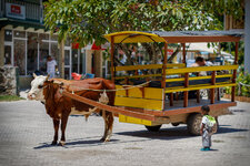 20130327-IMG_1081-b.jpg