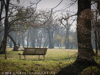 DSLR_laxenburg (1 von 4).jpg
