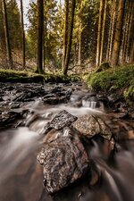 comp_9IMG_0066.jpg