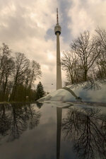 IMG_2717editedforum.jpg